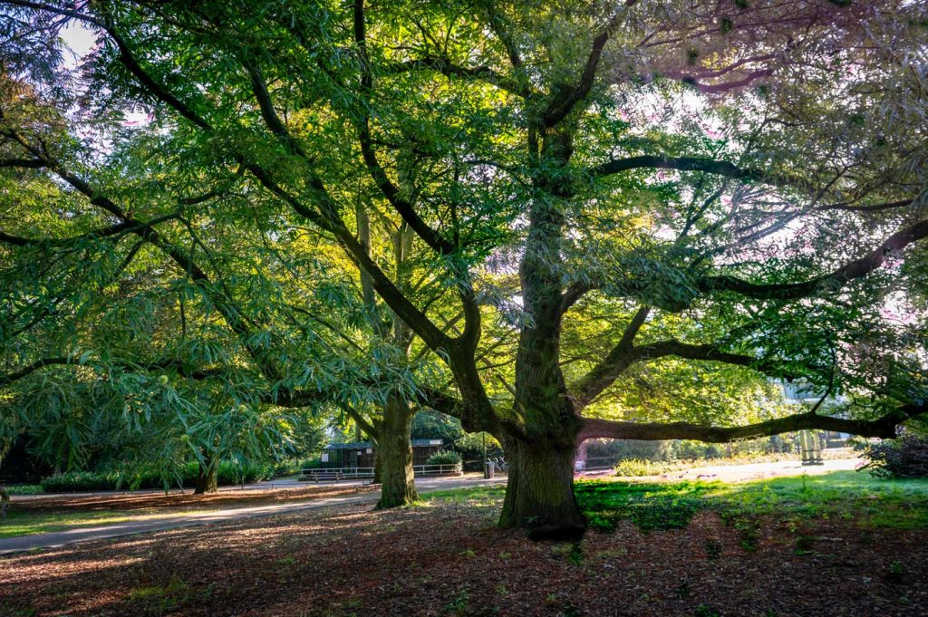 Stadswandelpark Eindhoven